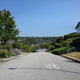 Illustration for article titled Pics from the Curbside: 2018-08-05 to Lord Kitchener Elementary and Puget Drive